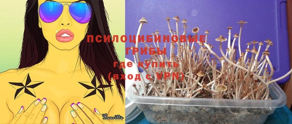 мет Надым