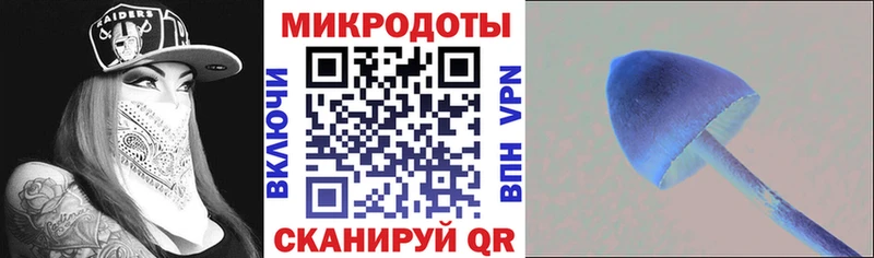 Псилоцибиновые грибы ЛСД  Елизаветинская 