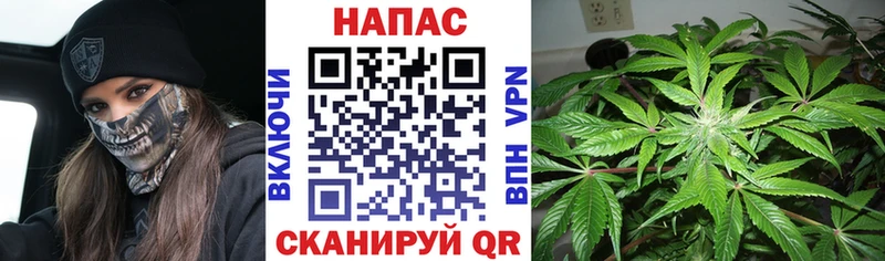 МАРИХУАНА семена  сколько стоит  Елизаветинская 